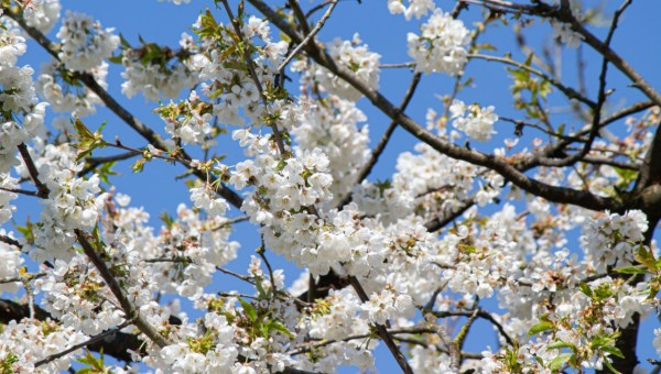 Corner Item Image - Tienes todas estas razones para ser feliz en abril