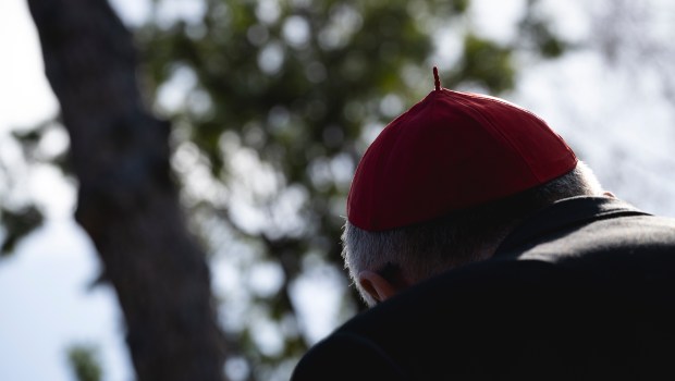 His Eminence Cardinal Pietro Parolin