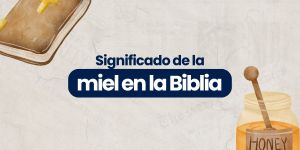 (VIDEO) El significado de la miel en la Biblia