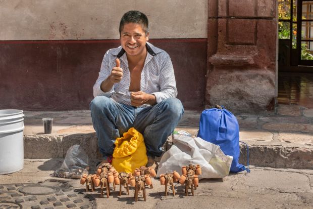 mulas de artesanía méxico
