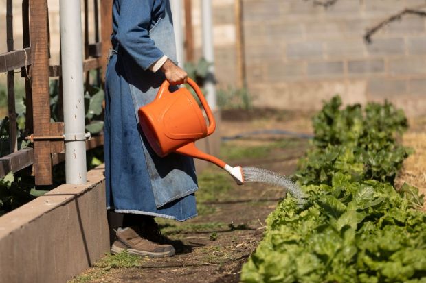 gardening