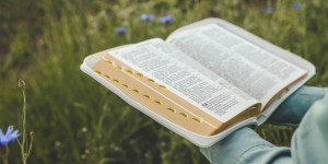 5 consejos sobre cómo interpretar la Biblia según Dei Verbum