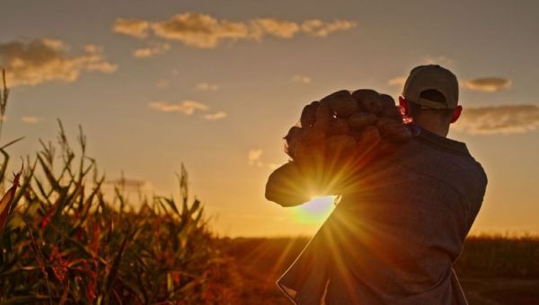 pena, esfuerzo, sacrificio, entrega, incomodidad, molestia