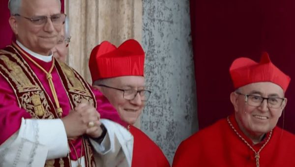 cardenal plujic