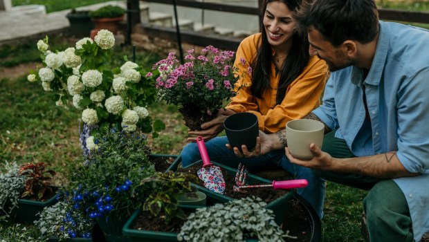 jardinería