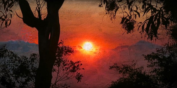 El Alma Mater Museum de Zaragoza ofrece una exposición de la pintora Isabel Guerra que ayuda a volar hacia lo eterno