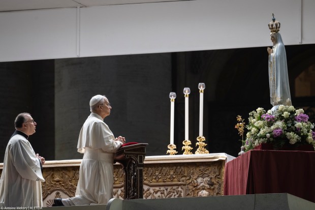 {"rendered":"El Rosario por la paz del Papa Le\u00f3n XIV"}