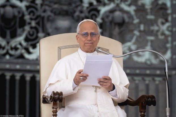 {"rendered":"Audiencia General: Le\u00f3n XIV anima a no ocultar las heridas"}