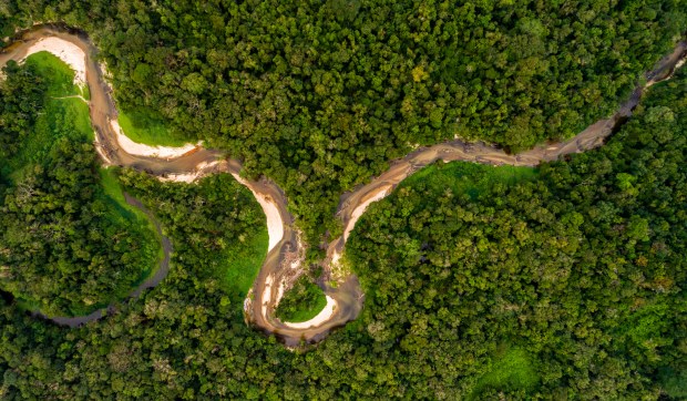 Corner Hero Image - COP 30: ¿Cuál es la situación real actual de la deforestación en la selva amazónica?