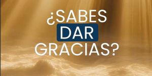 (VIDEO) ¿Sabes dar gracias?