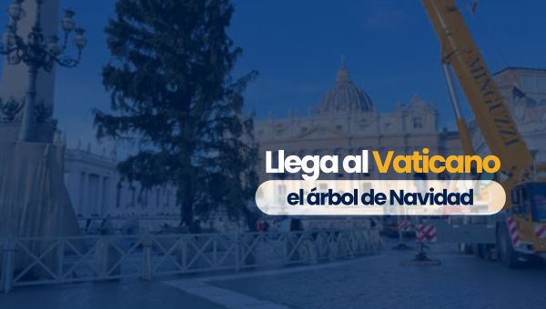 Árbol de navidad en el Vaticano