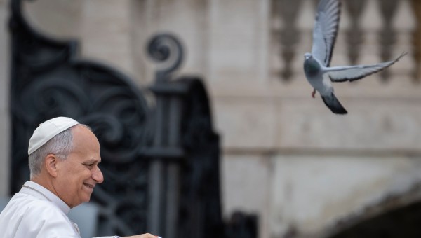 pope-leo-xiv-audience-dove