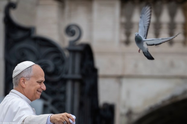 pope-leo-xiv-audience-dove
