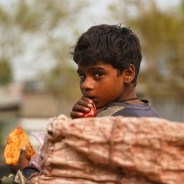 Stickers Item image #7