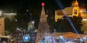 Los árboles de Navidad regresan a Belén