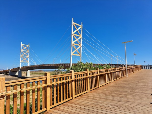 Wooden walkway from Loures to Vila Franca de Xira on the Tagus Route