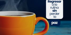 (VIDEO) Regresar a la rutina sin perder la paz