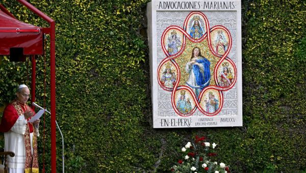 Corner Item Image - Los colores andinos ahora en los jardines del Vaticano