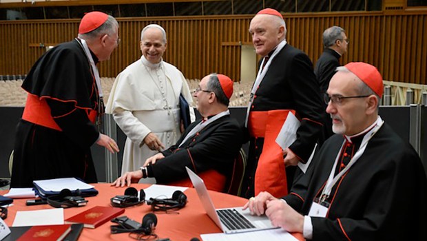 papa-leo-xiv-first-extraordinary-consistory-vatican-jan-8-2026