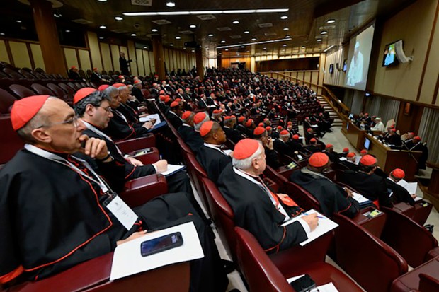 papa-leo-xiv-first-extraordinary-consistory-vatican-jan-8-2026