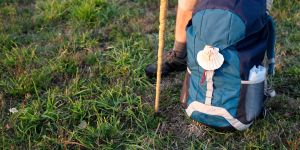 Guadalajara, México, se hermana con el Camino de Santiago
