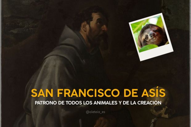 {"rendered":"Patronos de los animales"}