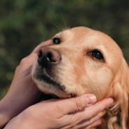 Stickers Item image #1