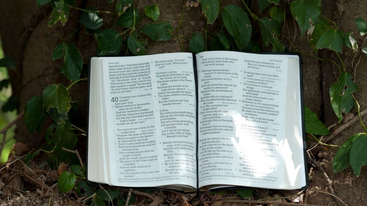 biblia, permiso, pecar, palabra de Dios, mandamientos, conciencia