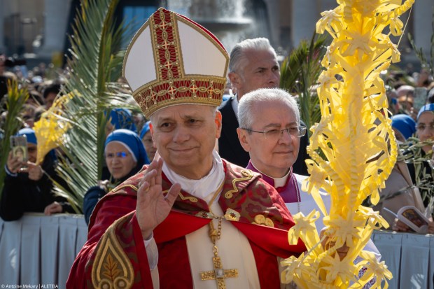 {"rendered":"Domingo de Ramos en Vaticano: Le\u00f3n pide terminar la guerra"}