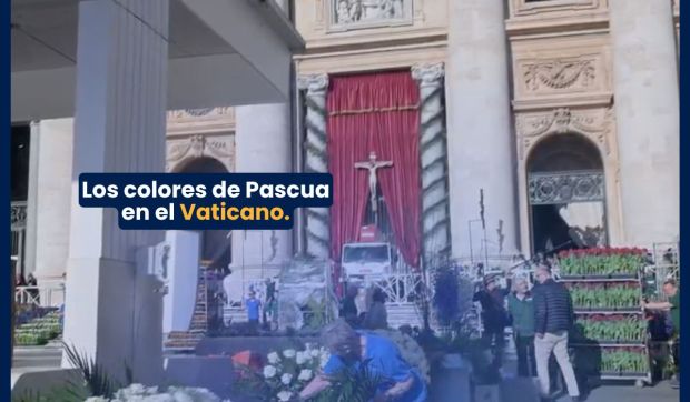 Corner Hero Image - (VIDEO) Los colores de Pascua en el Vaticano