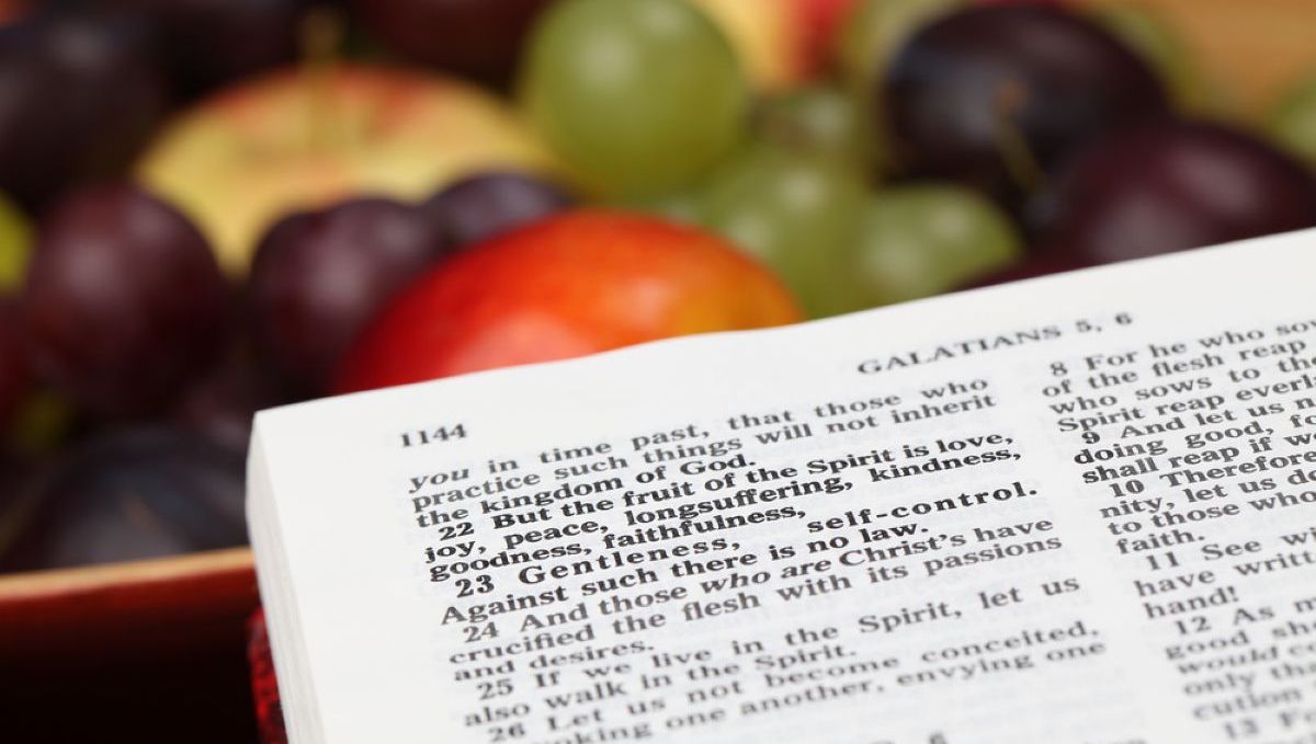 Espíritu santo, frutos, fruto, continencia, demonio, pecado, dones