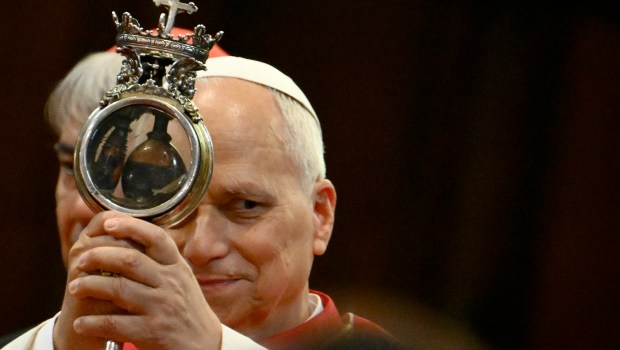 Pope-leo-xiv-naples-pompei-may-2026
