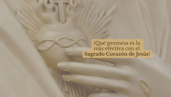 Corner Item Image - (VIDEO) ¿Qué promesa del Sagrado corazón es la más efectiva ?