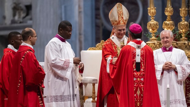 Pope Leo XIV leads a Holy Mass on the Solemnity of Saints Peter and Paul, Rome's patron saints, at St. Peter's Basilica in the Vatican, on June 29, 2026