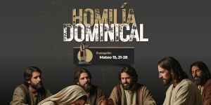 (VIDEO) Homilía Dominical: “Señor, hijo de David, ten compasión de mi