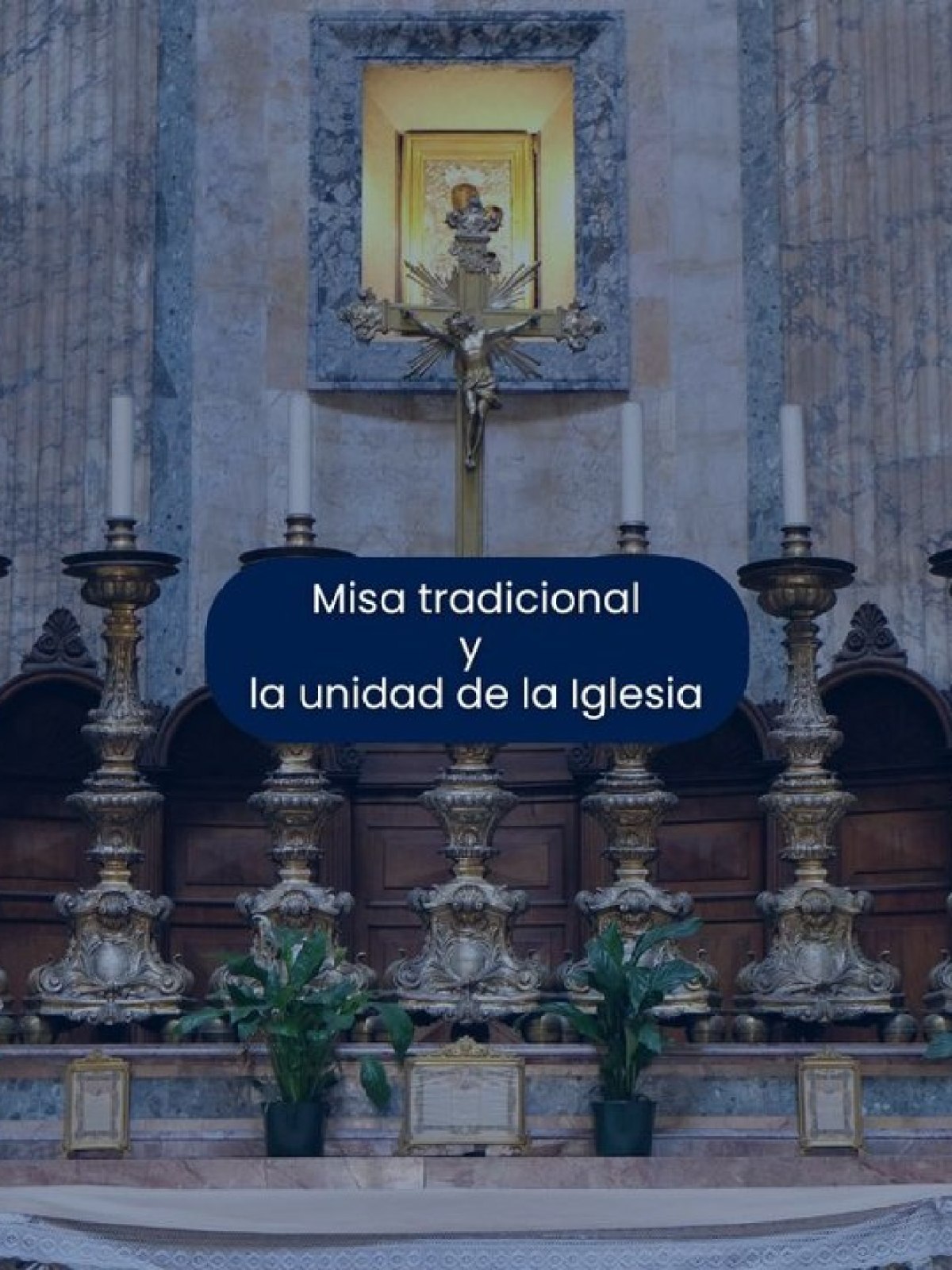 (VIDEO) Misa tradicional y la unidad de la Iglesia
