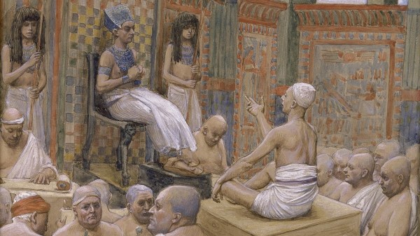 sueños de la biblia, faraón, José el soñador, vacas flacas, sueño, biblia, antiguo testamento